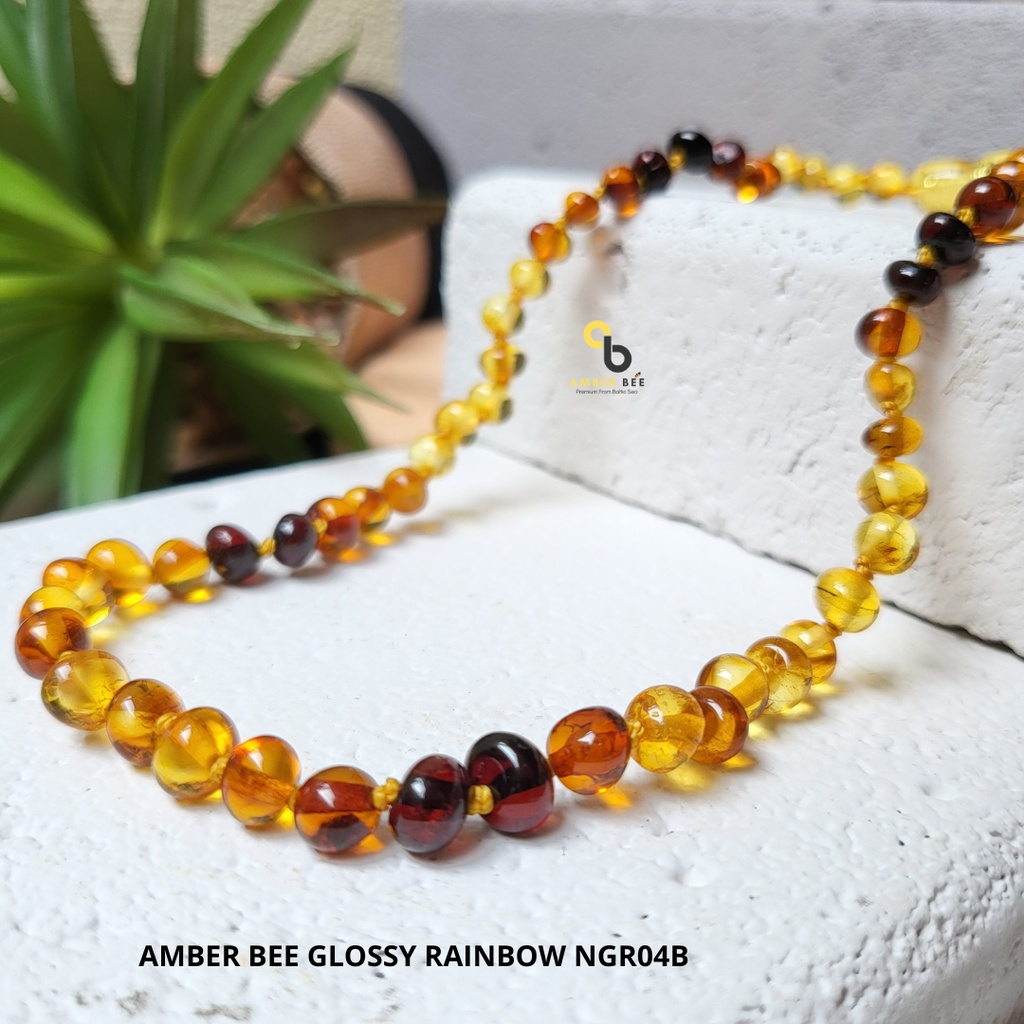 Kalung Amber Bayi &amp; Anak Premium Glossy Rainbow NGR04B By Amber Bee