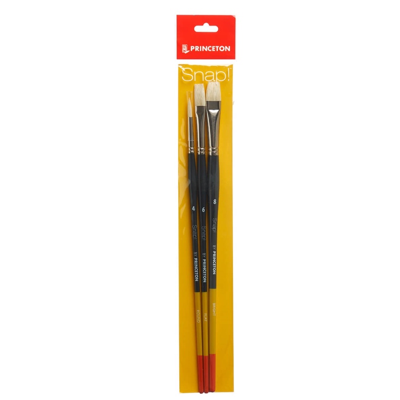 Princeton Brush Set Snap 9700 Set-5 &amp; 9800 Set-4