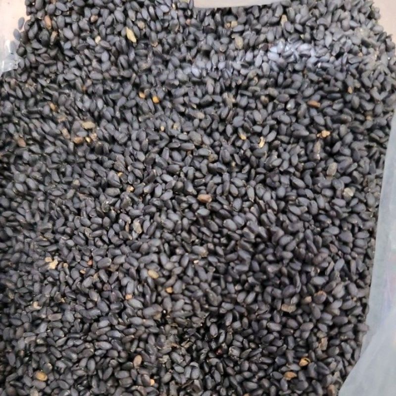 

Biji Selasih 50gr 100gr