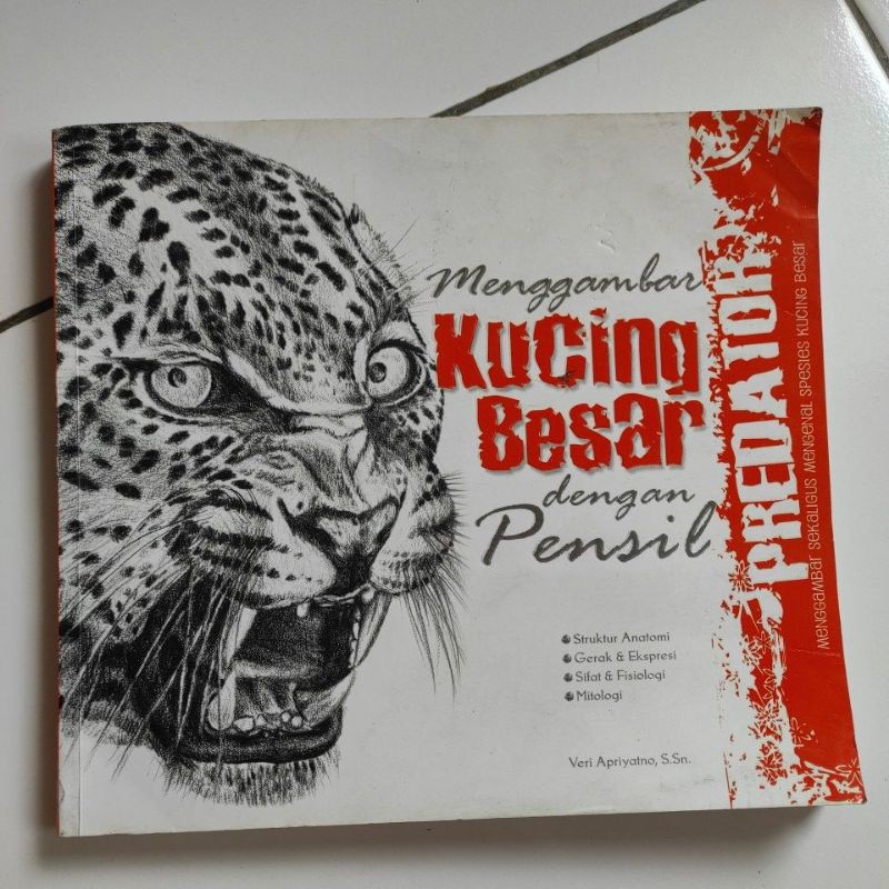 

Menggambar Kucing Besar dengan Pensil