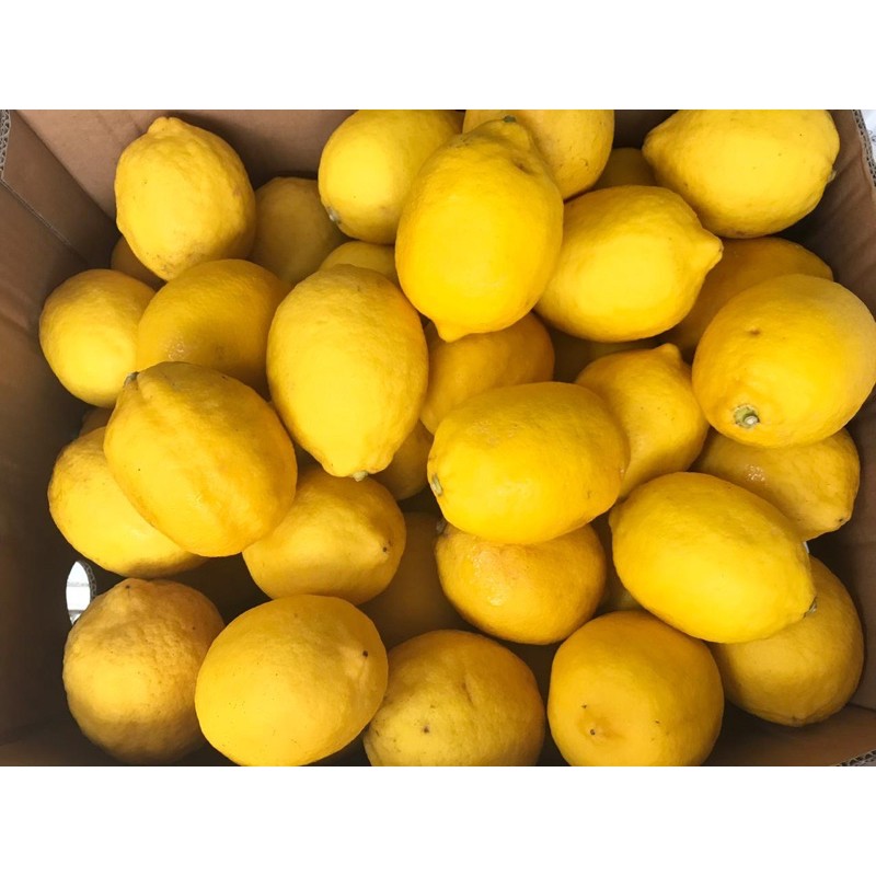 

Lemon Import