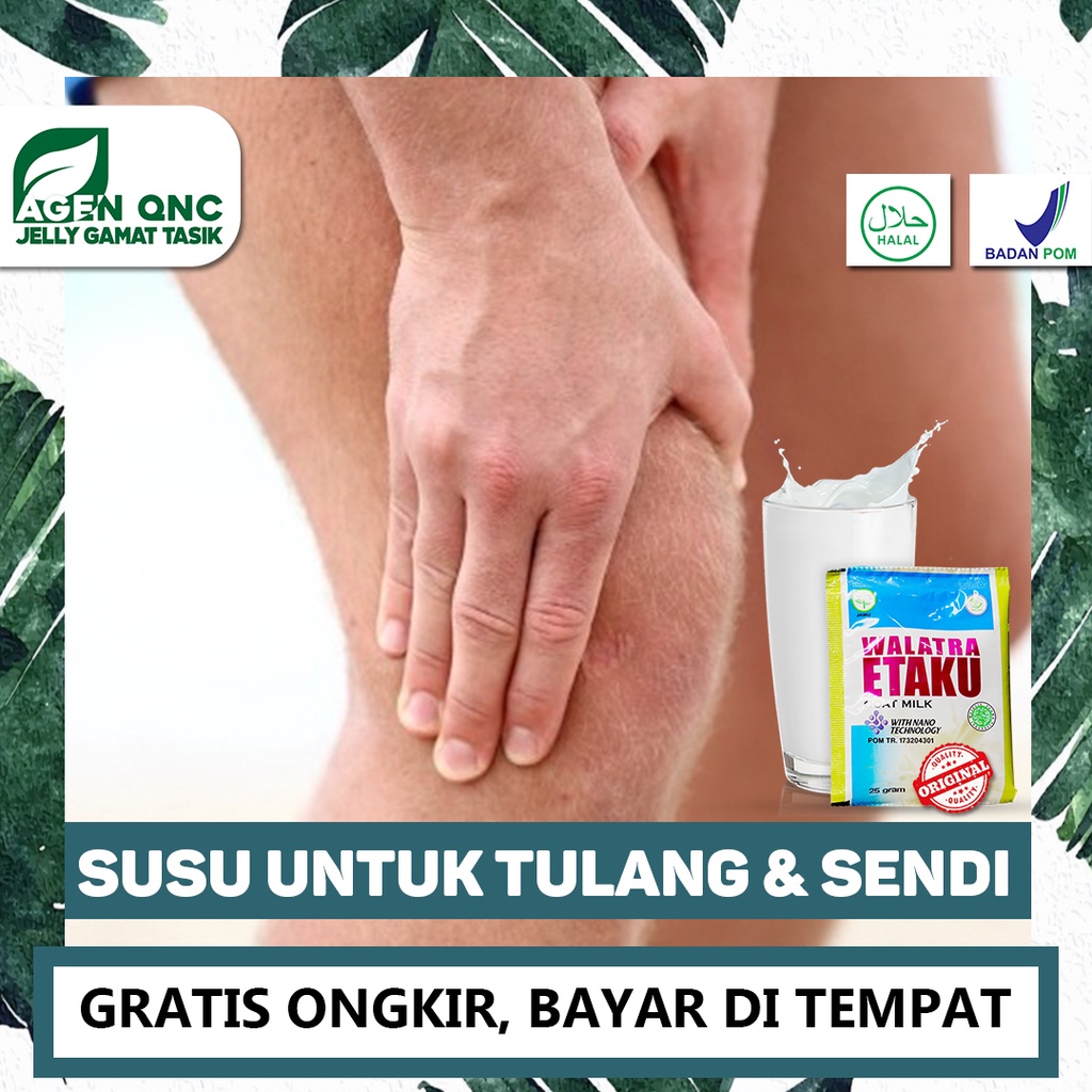 

Susu Kesehatan Tulang Sendi - Susu Kalsium - Tulang Keropos Susu Kambing Etaku Asli Di Tasikmalaya