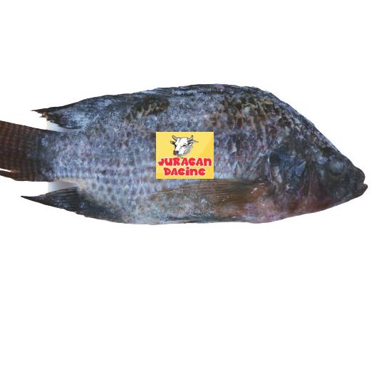 

Ikan Nila Tilapia WGGS 350gr - 450gr ✤