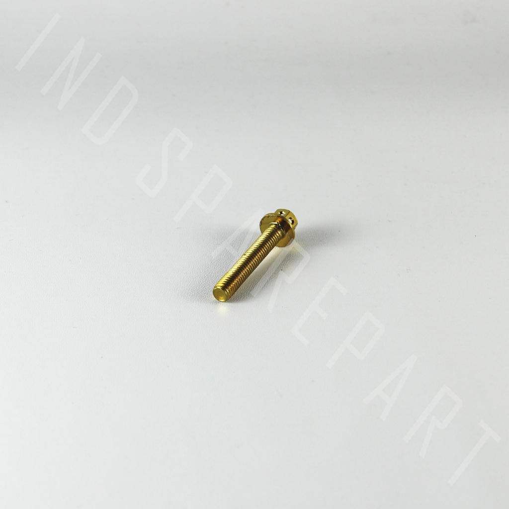 Baut-Baud Probolt-Pro Bolt Gold M6x35-6x35-6 x 35 Kunci 8-K8