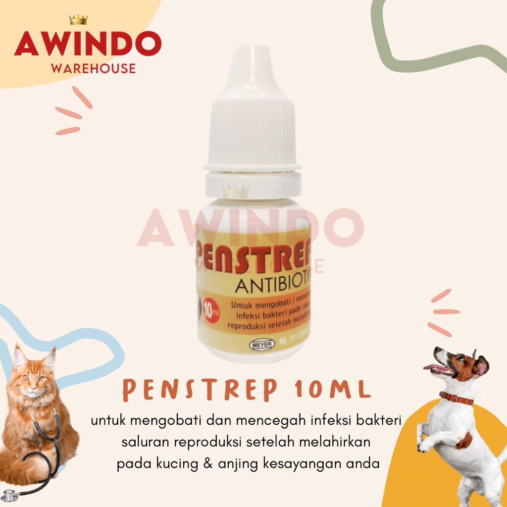 PENSTREP - Obat Antibiotik Anti Infeksi Kucing Anjing Setelah Melahirkan