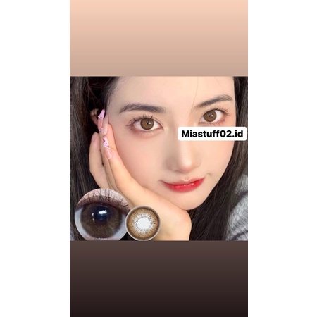 mini birkin brown softlens