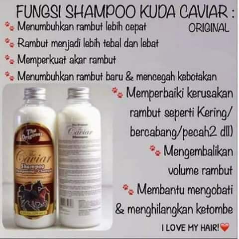 `ღ´ PHINKL `ღ´ The caviar shampoo shampo kuda untuk rambut rusak bercabang pemanjang rambut