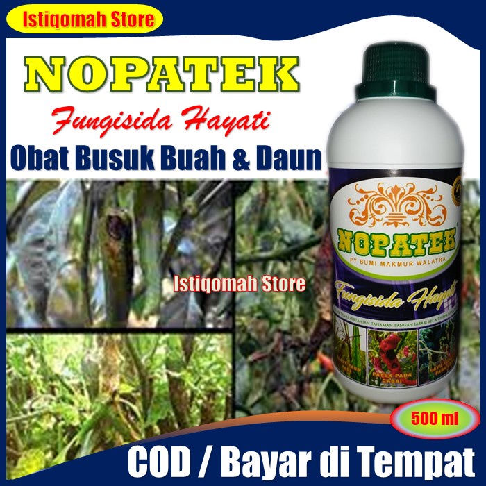 NOPATEK Fungisida Hayati Mengatasi Hama Bercak &amp; Busuk Daun, Busuk Buah, Busuk Akar &amp; Batang, Patek