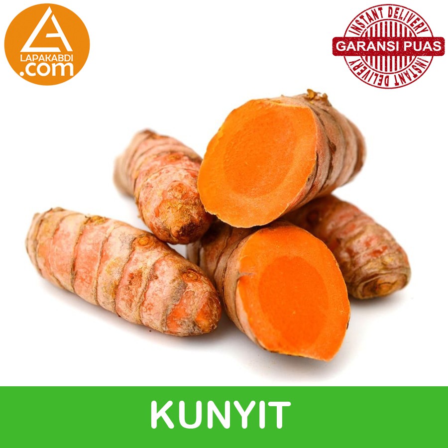 

Kunyit 250gr Bumbu Dapur Bahan Masakan Rempah Segar