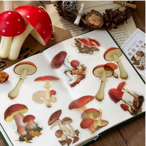 Flower Series PET Sticker Packs - 8 Design Monets Garden (40pcs)