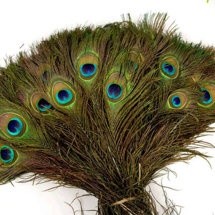 Triple W Dummy Fake Peacock Feather Bulu Burung Merak Dekorasi Foto