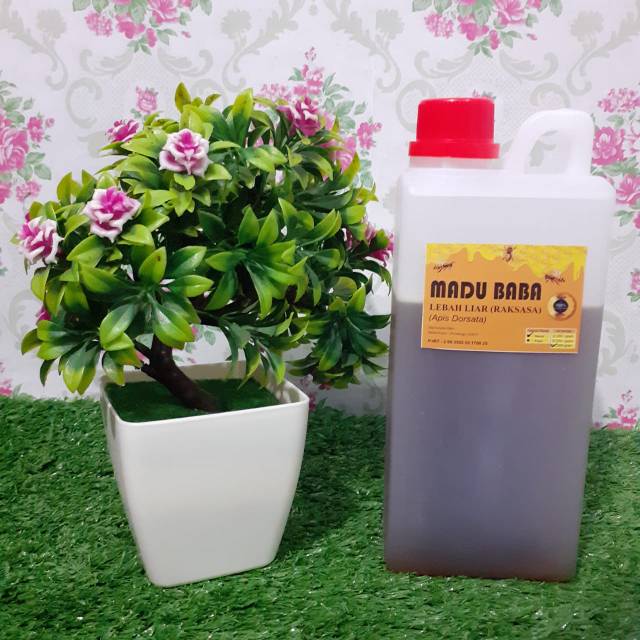 

MADU HUTAN LIAR MURNI LEBAH RAKSASA / APIS DORSATA MULTIFLORA (Manis) 1000 gram