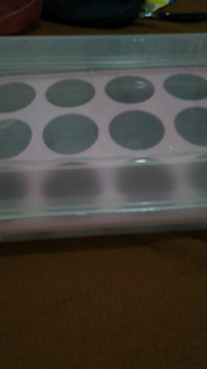 Tempat Telur 15 Lubang Dan Sekat (box Telur)