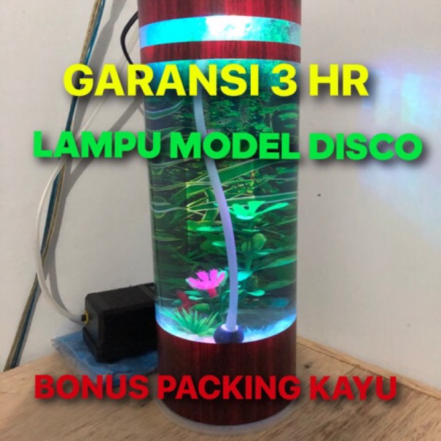 44+ Aquarium Cupang Lampu Gratis