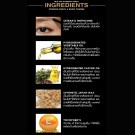 Browit Trio Tips Eyebrow Pencil by Nongchat | Pensil Alis 3 in 1 Waterproof | Easy Drawing | Air Cushion Sponge | Browit.id