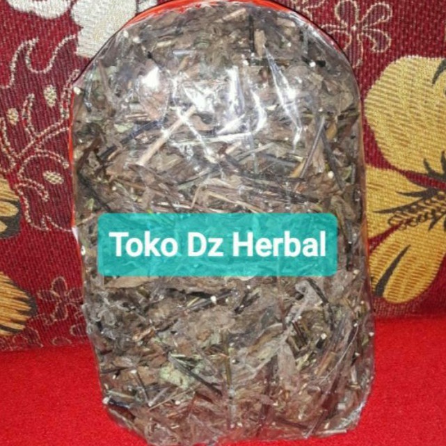 

Daun jarong kering atau pecut kuda kering 500 gram-az
