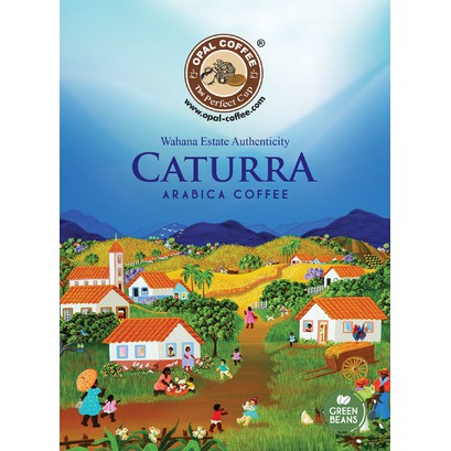 

KOPI CATURRA ARABICA