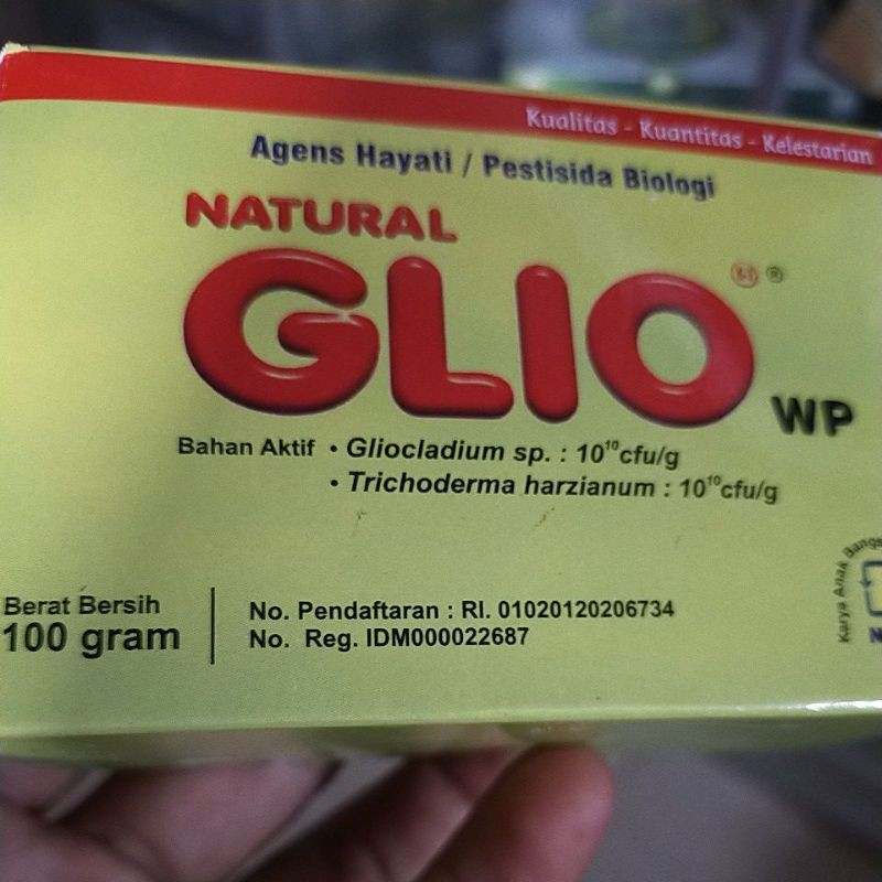 obat tanaman cabe layu fusarium natural glio nasa gliocladium ori