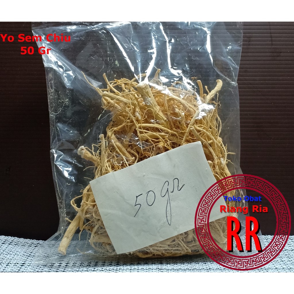 

Akar Ginseng Yo Sem Ciu 50 gram