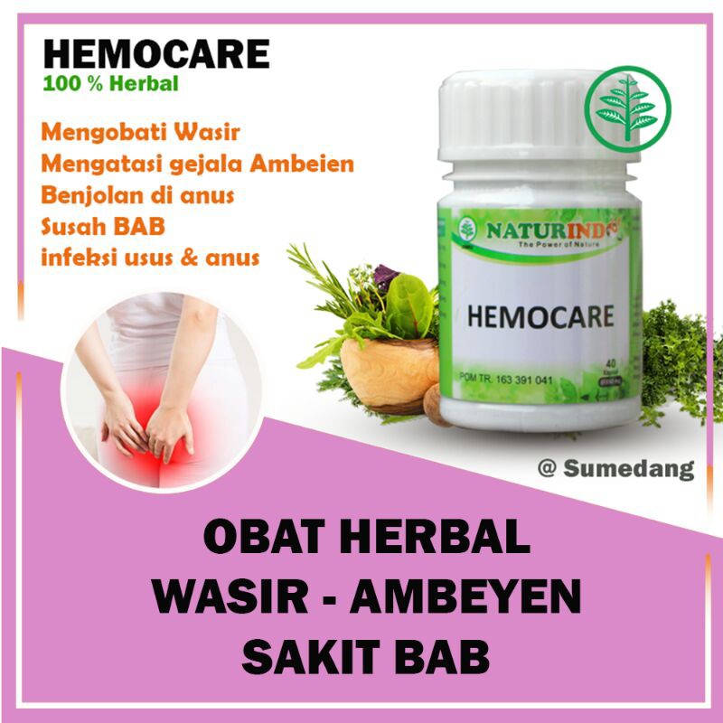 HEMOCARE obat herbal ambien ambeyen anus bengkak lecet dengan gejala susah bab panas benjolan nyeri dan radang isi 40 kapsul-3