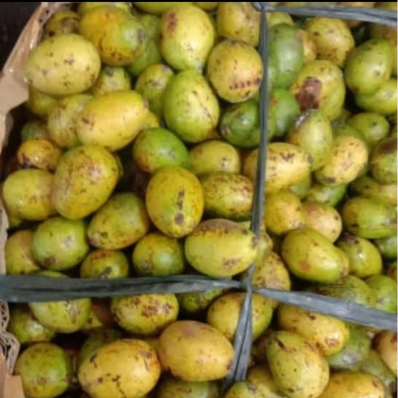 

Buah Matoa 1kg