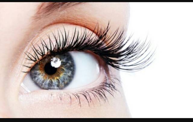 NESURA 3D EYELASH EXTENSION/ RUSSIAN EYELASH/EYELASH EXTENSION/BULUMATA TANAM