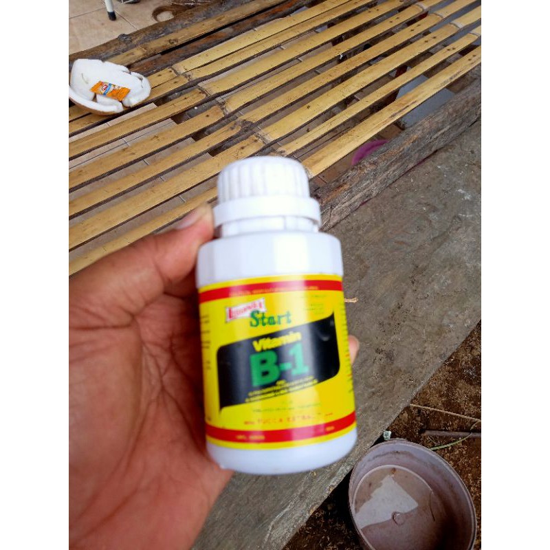 vitamin B1 tanaman