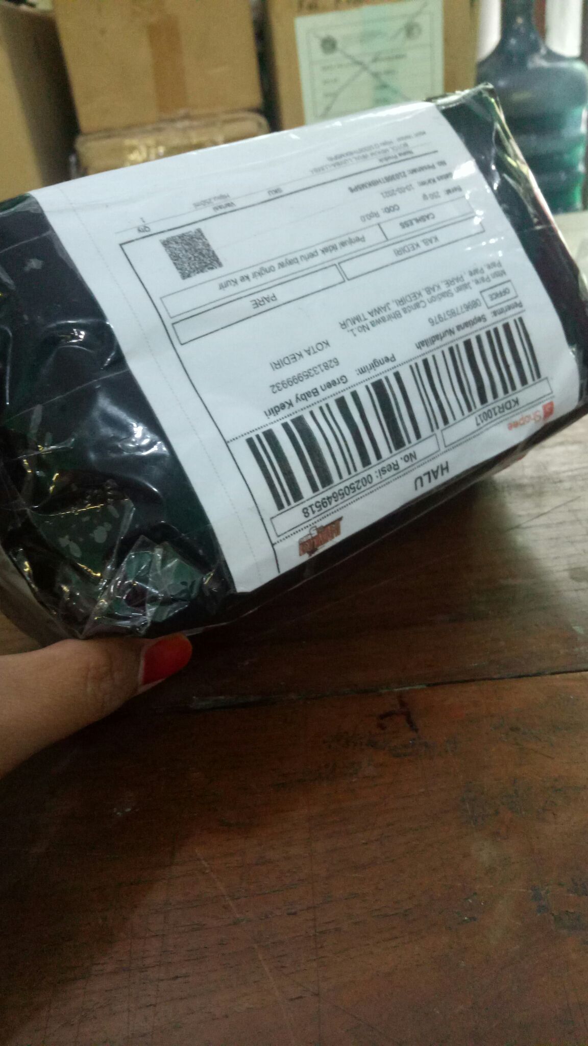 Botol Minum Viral Lumba-lumba