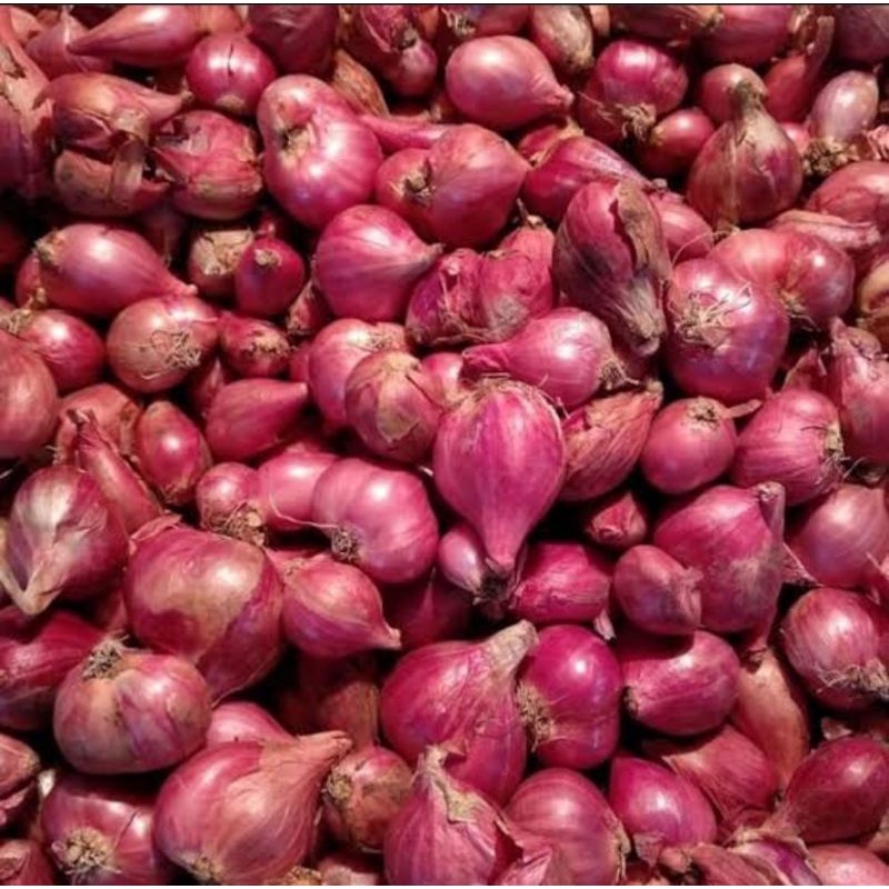 Bawang Merah Asli Brebes