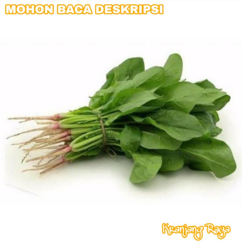 

Bayam Jepang / horenso