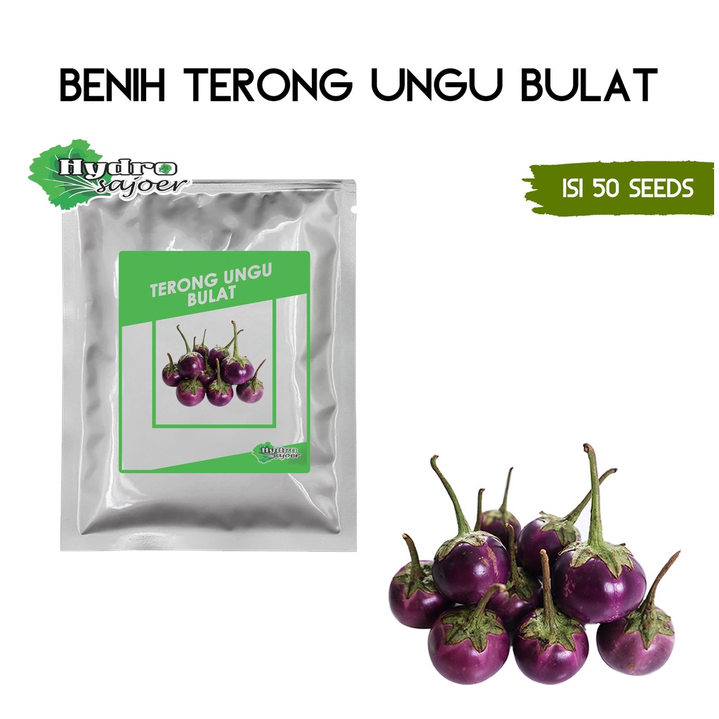 Jual Benih Terong Ungu Bulat Isi Biji Shopee Indonesia