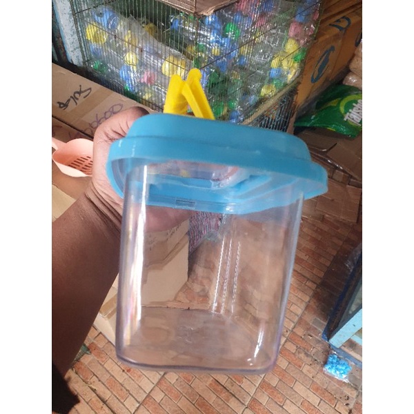 kotak kura kura rumah kura kura