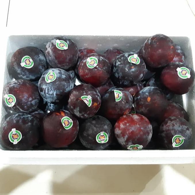 

Aseli Buah Plum Import Pelangsing Diet 2Kg Paling Murah Se Indonesia It'S Work