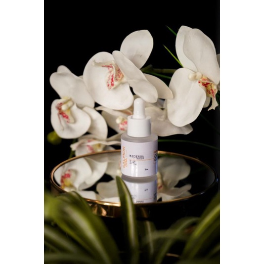 SALMON DNA MARESHA HARGA LAUNCHING