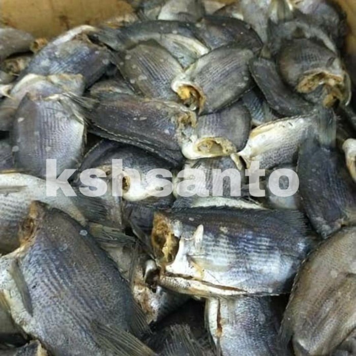 

Vs201Vv Ikan Asin Sepat Tembakang-500Grm Dscscv