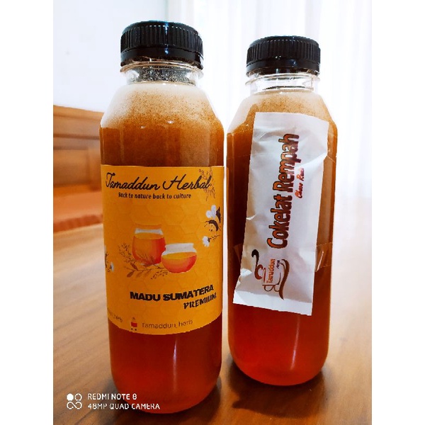

madu asli hutan sumatera