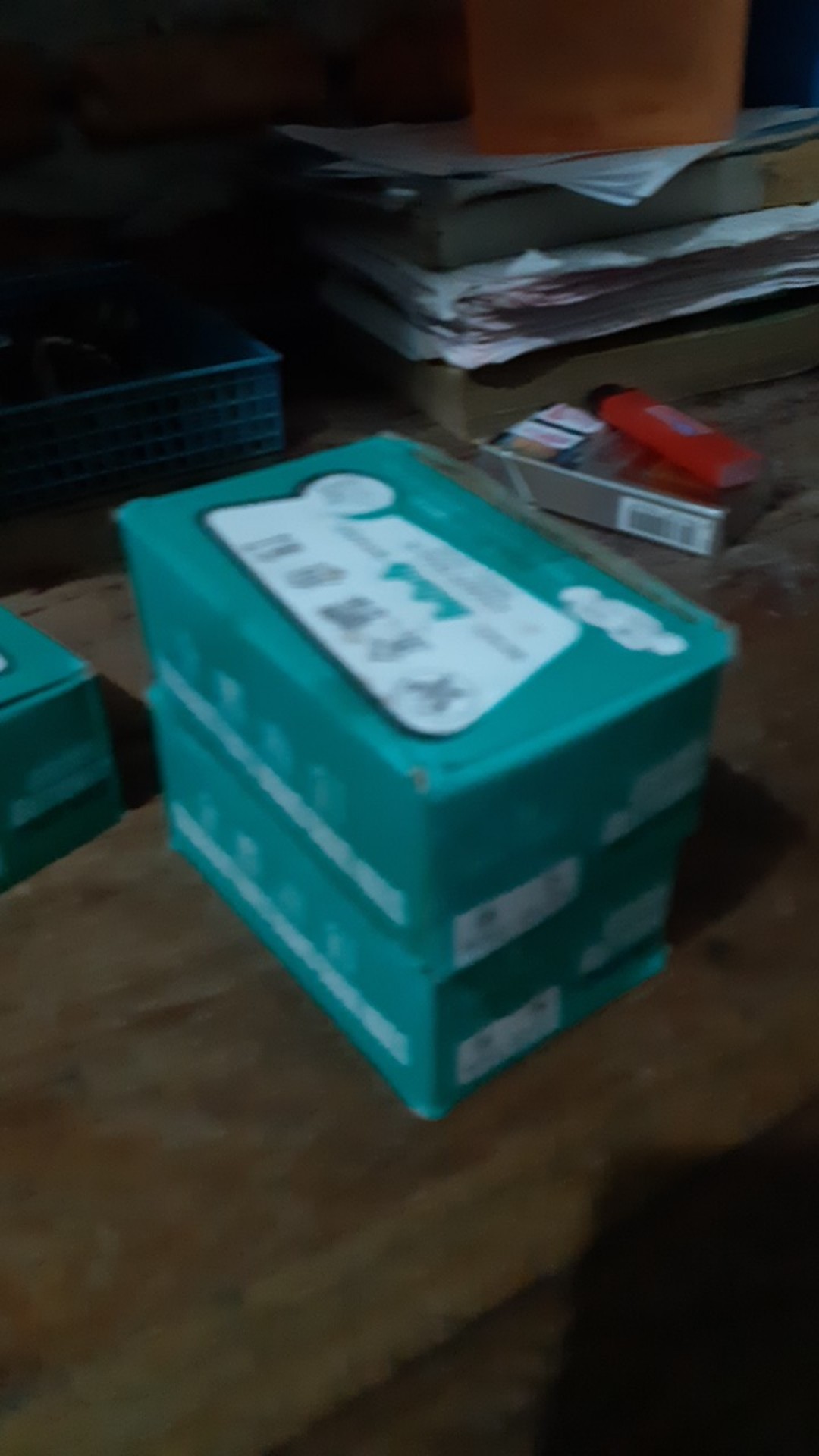 Paku Payung / Paku Pines 5/8 Curah