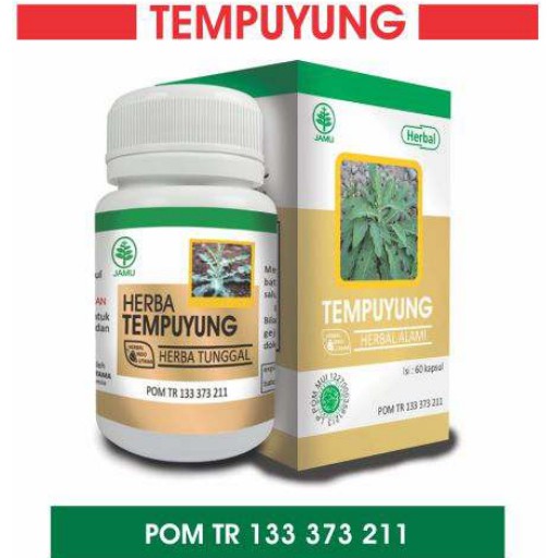 

Herba Tempuyung Obat Batu Ginjal Radang Usus Buntu Herbal Indo Utama
