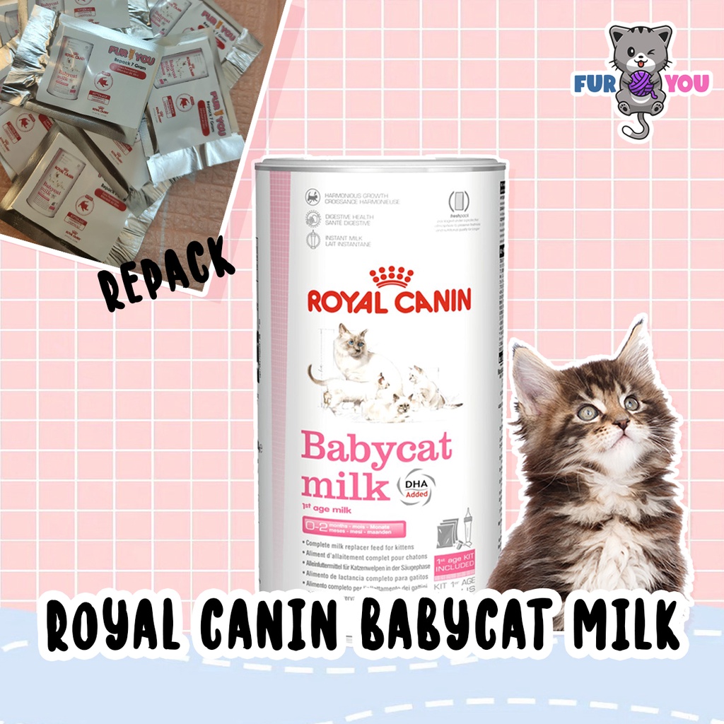 Susu Royal Canin Babycat Milk Repack