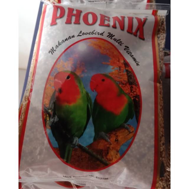 phoenix Lovebird