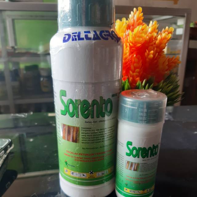 Fungisida Sorento mengendalikan padi dan bawang merah