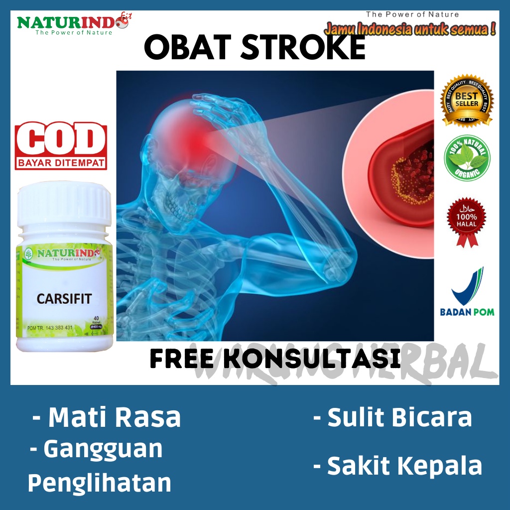 Obat Stroke Struk Setruk Cina Alat Setroke Struk Paling Ampuh Herbal Bpom