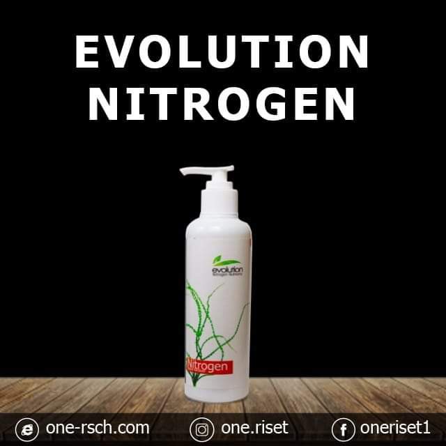 Evolution Nitrogen 100ml Nitrogen Cair Aquascape