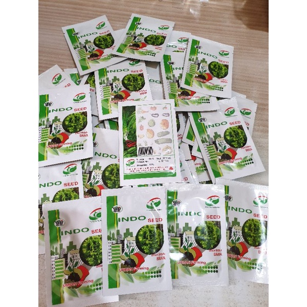 Benih selada Batavia Brava Indo Seed