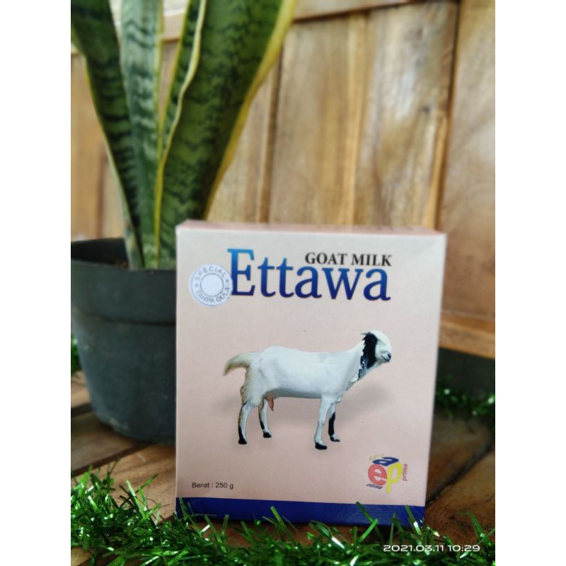 

SELALU FRESH ~ SUSU KAMBING ETAWA TANPA GULA (100% SUSU ETAWA)