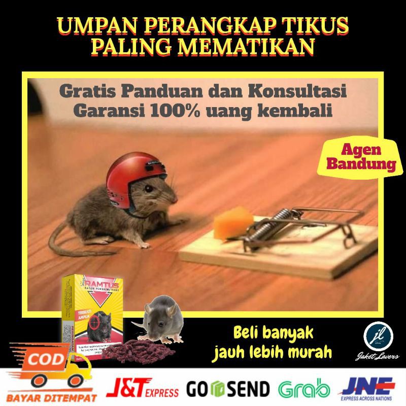 Perangkap Jebakan Tikus Umpan Paling Ampuh Mati Kering dan Tidak Bau Agen Bandung