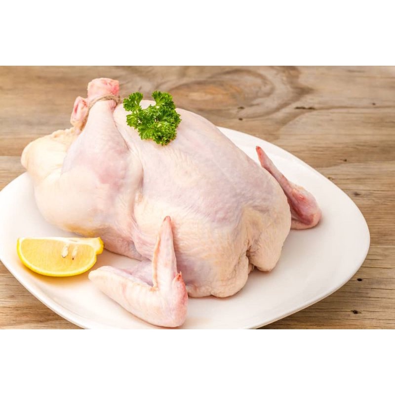 

Ayam Frozen 0,9-1,0 kg