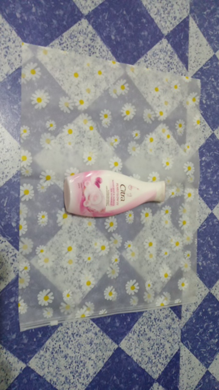 [tu] Kantong Zip Lock Transparan Bunga Daisy - Hw0115