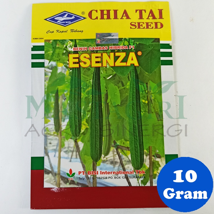 Benih Gambas ESENZA Cap Kapal Terbang Kemasan 10 Gram