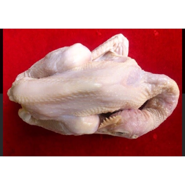 

Ayam jantan muda (baru potong)